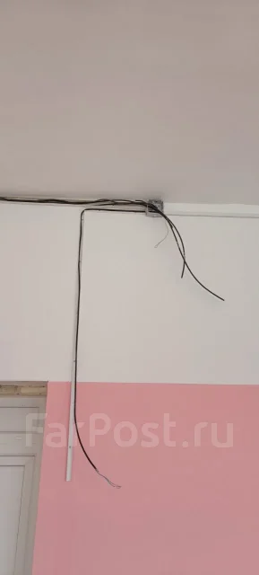 ���������. ����
