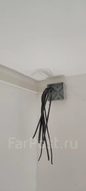 ���������. ����