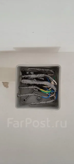 ���������. ����