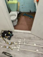 ����������. ����
