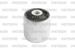 ����������� ������ �������� Patron PSE12110, �������� PSE12110 ����
