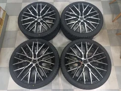Kyoho Steiner CVX