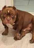 ������������ �����. ����