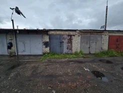 ������ �����������. . ��� ������� ����