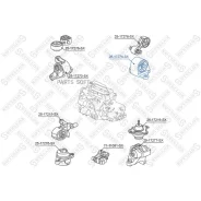 ����� ��������� ������ AT Honda Civic 00-06 Stellox 25-17274-SX Stellox 2517274SX 2517274SX ����