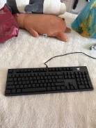 ����������. ����