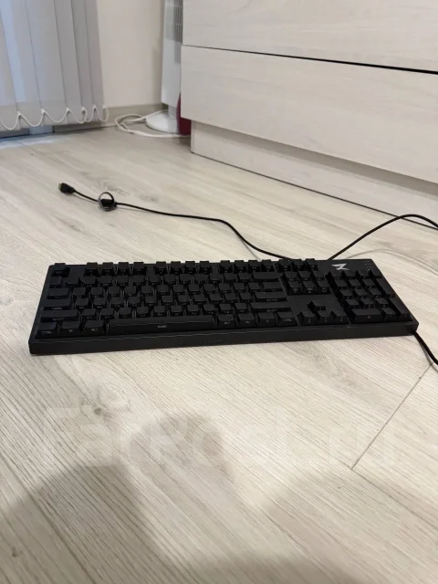 ����������. ����