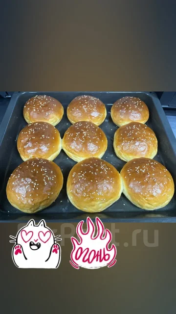 ������-�����. ����