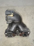 ����������. ����
