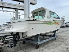 Nissan Suncruise. 2002 ���, ����� 8,8��., ��������� ������������, 230��.�., ������ ����