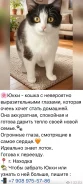 �����. ����