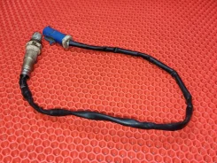 ������ ����������� Ford Focus CB4 QQDB 3M519G444AB Ford Focus 3M519G444AB ����