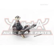 ����� ������� Toyota Toyota RAV4 SXA1# 1993-2000 ASVA 0120SXA10 ASVA 0120SXA10 0120SXA10 ����