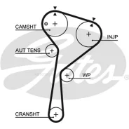 ������ ��� Gates 5578XS Renault / Nissan: all 1.5TD 03- Gates 5578XS 5578XS ����