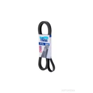 ������ �/� 6PK2100 Finwhale BP6PK2100 Finwhale BP6PK2100 BP6PK2100 ����