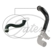 �������� ���������������� Gates 090829 Gates 090829 090829 ����