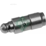 ���������������� VW/AUDI A4, A6, A8, Passat 2.5TDI INA 420008210 INA 420008210 420008210 ����