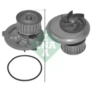����� ����������� �������� INA 538013110 INA 538013110 538013110 ����
