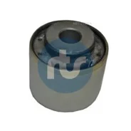 ����������� RTS 01700824 Renault Duster (HS_); RTS 01700824 01700824 ����