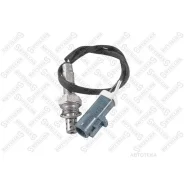������-���� Stellox 2000030SX FORD Cougar/Mondeo 2.0 16V/2.5 V6/ 2.5 24V 2000030SX ����