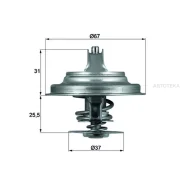 ��������� Mahle TX2587D Mahle TX2587D TX2587D ����