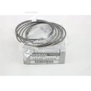 ������ ��������� STD Nissan 12033JG30A Teana J32, QR25, Xtrail T31, 07 - 10, QR25, QR25DE T31 07- Nissan 12033JG30A 12033JG30A ����