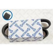 ������ ������������ 6PK906 VW Golf IV, Skoda Oktavia, Seat Toledo Stellox 0600906SX Stellox 0600906SX 0600906SX ����