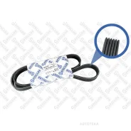 ������ ������������ Stellox 0601195SX Stellox 0601195SX 0601195SX ����