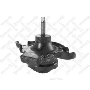 ����� ��������� Stellox 2517290SX Stellox 2517290SX 2517290SX ����