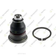 ����� �������, �������� ������ Teknorot R585 Teknorot R585 R585 ����