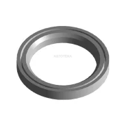 ������� ����������� Amulet Chery 4801006020 Chery 4801006020 4801006020 ����