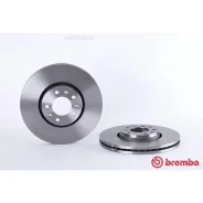 ���� ��������� �������� ������������� (�������� 2��) Brembo 09A43010 Brembo 09A43010 09A43010 ����