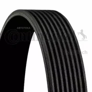 ������ ������������ Contitech 8PK1538 Contitech 8PK1538 8PK1538 ����