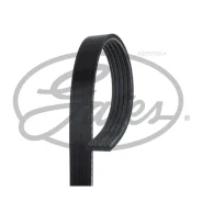 ������ ������������ Gates 5PK858 Gates 5PK858 5PK858 ����