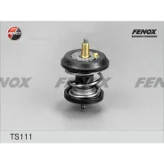 ��������� 95 �� � �������������� ������� 95 �� VW Golf V VI 1.8-2.0TSI 04-13 Passat 1.8-2.0TSI 0 Fenox TS111 Fenox TS111 TS111 ����