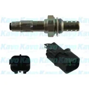������-���� Hyundai/KIA KAVO Parts EOS3024 EOS3024 ����