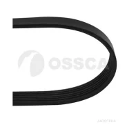 ������ 6PK 1003 Ossca 25893 Ossca 25893 25893 ����