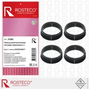 ������ �������������� ������� ��������� Renault (�-� 4 ��. ), ������� Rosteco 21369 Rosteco 21369 21369 ����