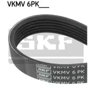 ������ ������������ SKF VKMV6PK1306 FORD, FORD Australia, Volvo SKF VKMV6PK1306 VKMV6PK1306 ����