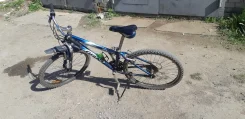 Giant ����