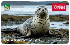 ������������ ����� ��� 2026 � . ����� ����