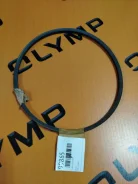 ������ �������� 10838 10838 ����