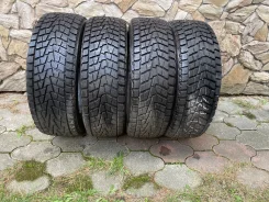 Bridgestone Winter Dueler DM-Z2. ������, ��� �����, �/�, ����� �� 5 % ����