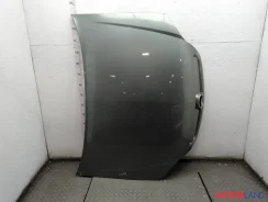 ����� Opel Signum 21226750 93172032 ����