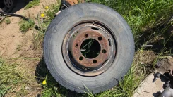 Hinodex. x16", �� 164���. ����