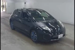 Nissan Leaf. AZE0 ����