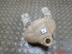 ����� �������������� Fiat Punto Evo 2009-2012 21234295 55700508 ����