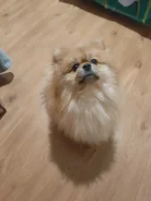 ����. ����