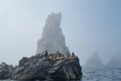 �������� �� ������ � �������� ������� � ������� ����