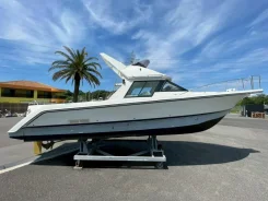 Yamaha FR-34. ����� 11��., ��������� ������������, ������. ��� ����� �� ������������ ����